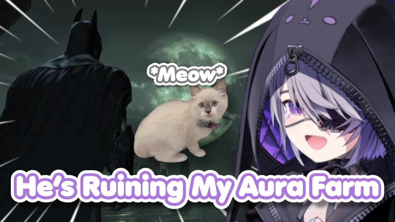 John Cat Completely Ruins Biboo’s Aura Farming Moment