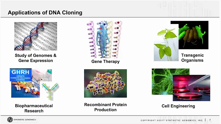 Accelerate your Research with Synthetic DNA and Hands-free Cloning - DayDayNews