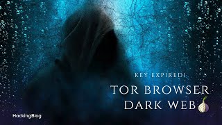 "Exploring the Dark  Web using Tor Browser: Your Gateway to Online Privacy"!! 😱 screenshot 4