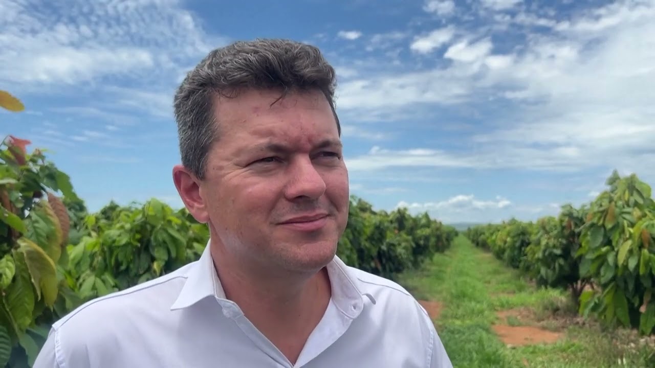 Brazil's Aspiring 'Cocoa King' Aims to Revolutionize Industry with Giant Farm
