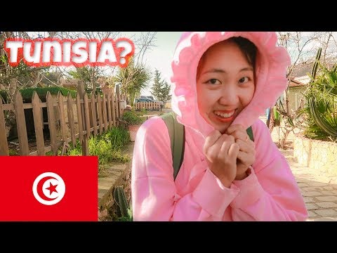 My First Trip to North Africa with Locals