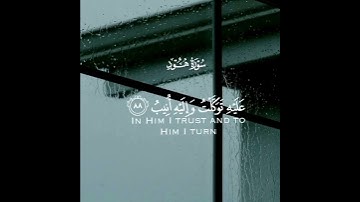 وما توفيقي إلا بالله عليه توكلت وإليه أنيب | سورة هود | القارئ ماهر المعيقلي