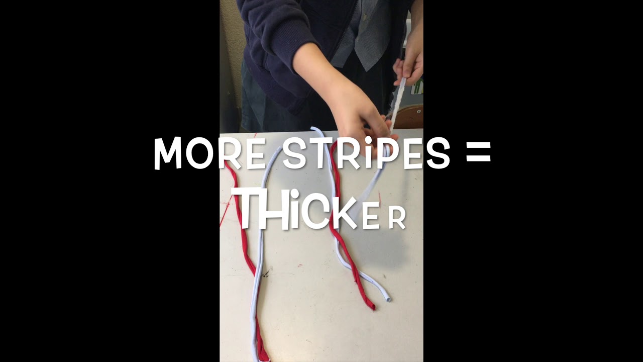 DIY DOG TOYS!!! YouTube