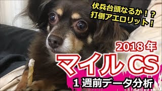 【1週前G1予想】2018年 マイルCSの予想【星野るり】