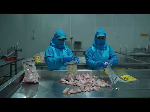 The PCF Corporate Film - video from Premium Chick Feeds