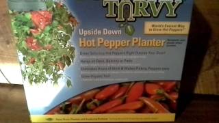Great Finds Tops Knife Pepper Planter Solar Project Wal Mart Scores