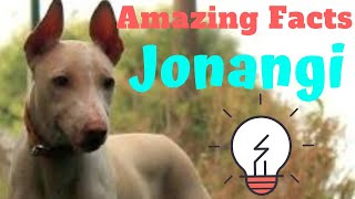 Jonangi Dog | amazing facts in hindi | Animal Channel Hindi