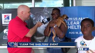 "Clear the Shelters" animal adoption event held on Saturday
