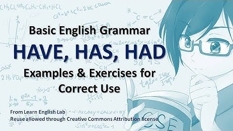 Basic English Grammar  HAVE, HAS, HAD Examples & Exercises for Correct Use