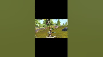 fire accuracy of mk12 💀#pubgmobile