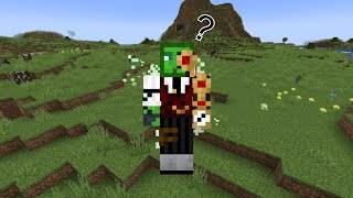 Whats this??? New SMP!!!????