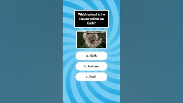 General Knowledge Quiz Part 23