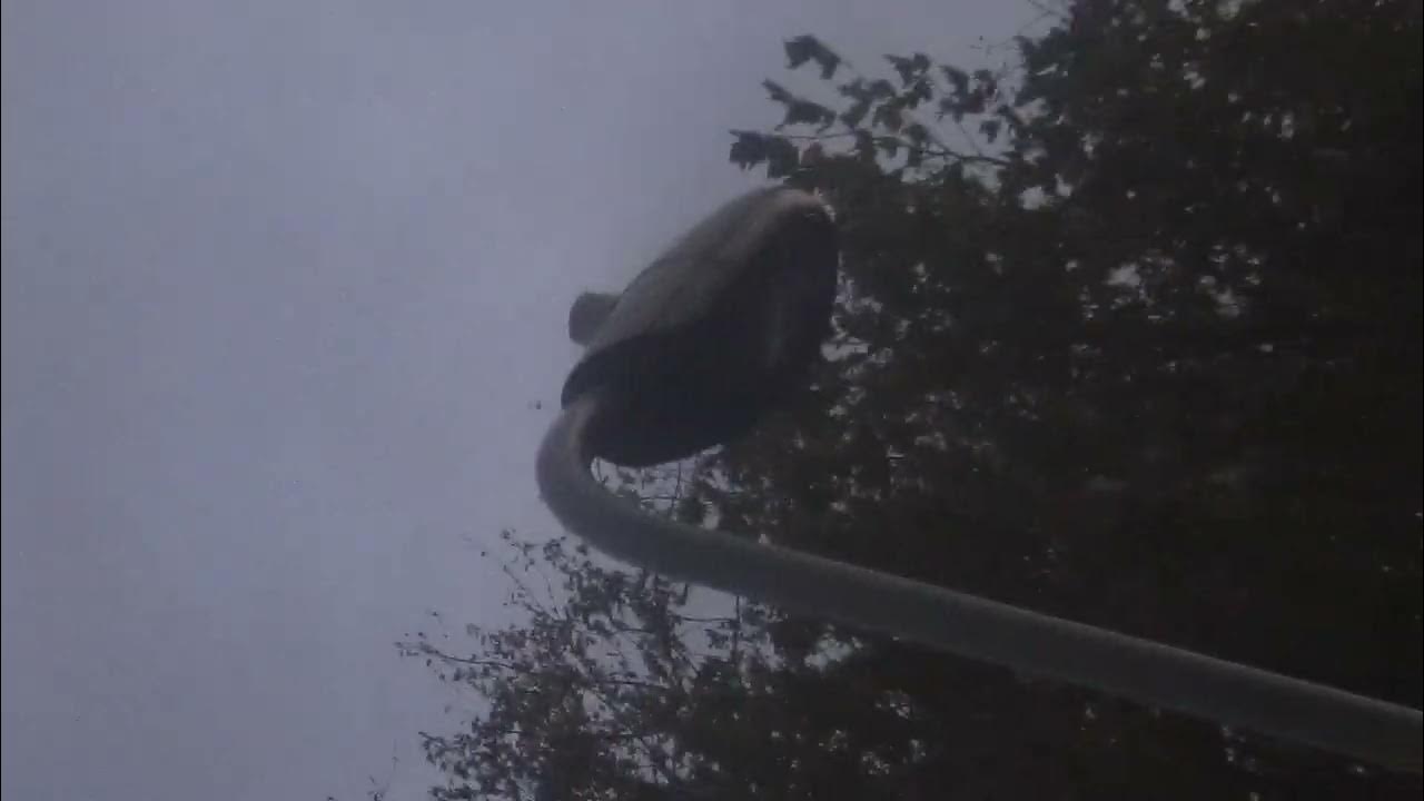 street lights in victoria road in emsworth YouTube