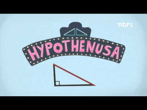 Wat is de stelling van Pythagoras?