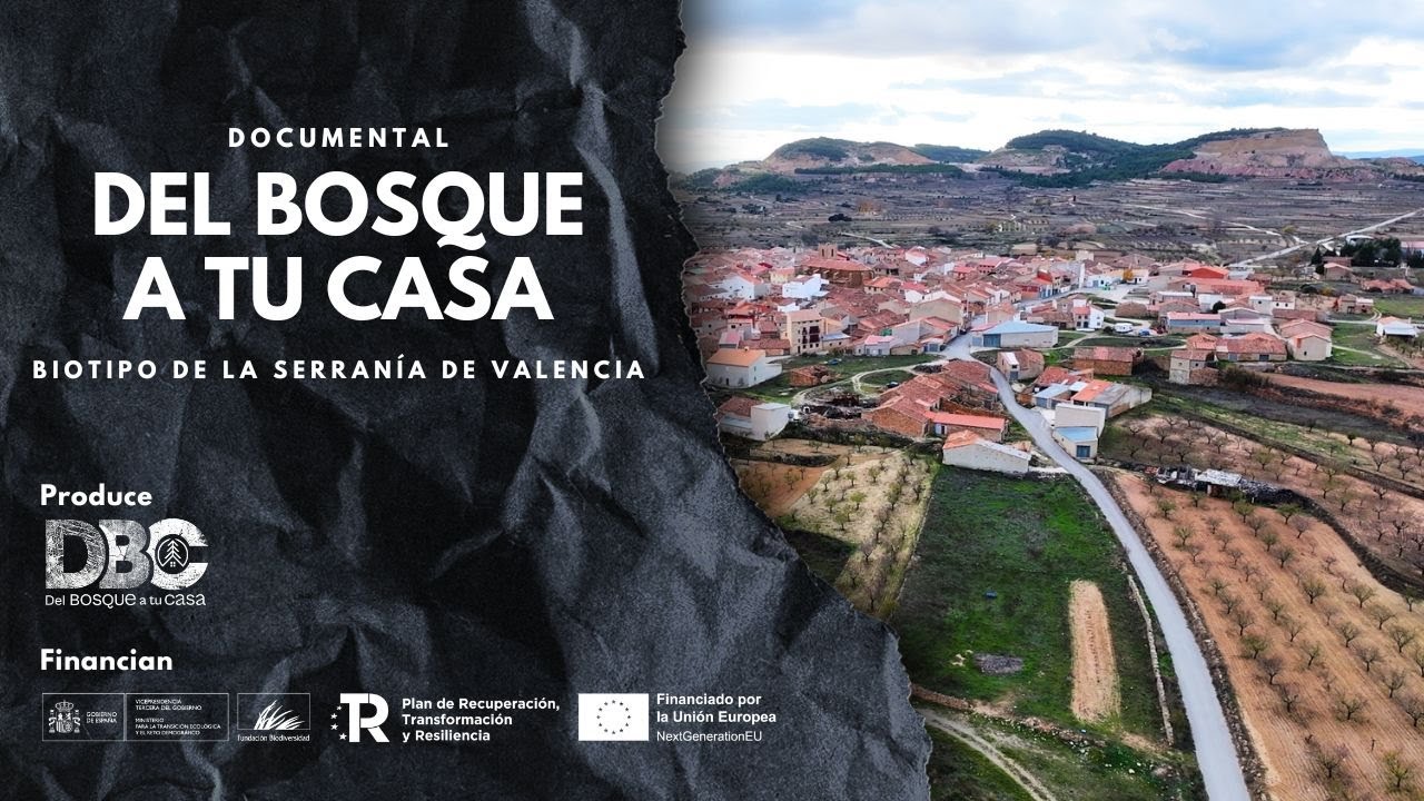 Fomentando el cultivo de TRUFA en la SERRANÍA de VALENCIA (Del Bosque a tu casa)