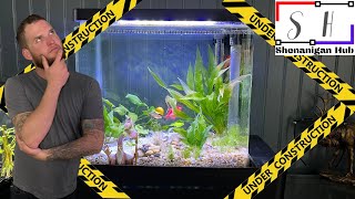 Complete Makeover of the Infinity Edge Aquarium