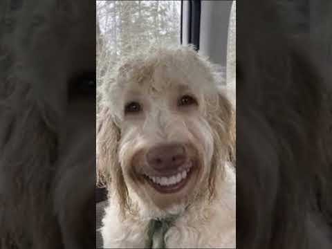 Music Guitar Dothingsyoudontwanttodo Rock Cover Edit Helpmemakethismakesense