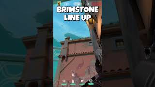 Brimstone Pearl Post-Plant Clutch Lineup🔥| #Brimstone #Lineup