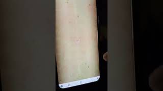 Cok The West Bot Farms