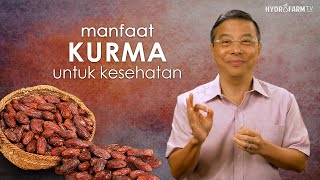 Manfaat Kurma Untuk Kesehatan 