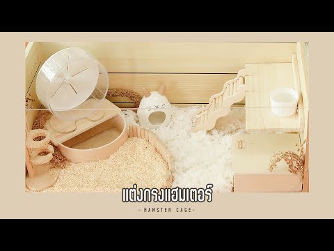 Hamster Cage | แต่งกรงแฮมเตอร์แนวมินิมอล | Ep.3