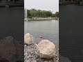 Quranic Park Fountain