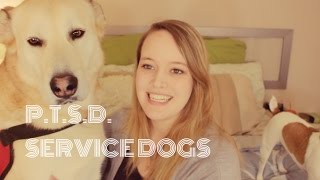 SERVICE DOGS & PTSD!