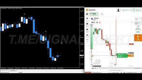 𝗧𝗥𝗔𝗗𝗜𝗡𝗚 𝗕𝗢𝗧 IQ OPTIONS 𝟮𝟬𝟮5 𝗙𝗢𝗥 𝗕𝗘𝗚𝗜𝗡𝗡𝗘𝗥 ✅