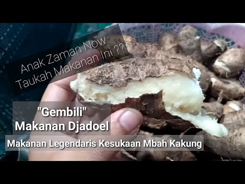 Gembolo merupakan ubi sejenis dengan singkong, talas, katak, uwi dan lain-lain. Gembolo memiliki ben. 