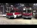 Обзор междугороднего автобуса Ikarus 250.59 люкс Тольятти