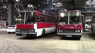 Обзор междугороднего автобуса Ikarus 250.59 люкс Тольятти