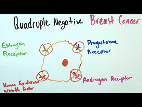 Videó: Az ösztrogén Receptor Negatív, Progeszteron Receptor Pozitív és HER2 Negatív Emlőrákok Molekuláris Esszenciája és Endokrin érzékenysége