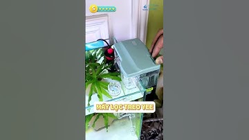 Máy Lọc Treo Bể Cá Yee: Nhỏ Gọn, Hiệu Quả, Bền Bỉ #maylocbeca #locbeca #yee #phukiencacanh