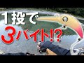 【エリアトラウト】1投で3バイト!?あのお店のオリカラがすごかった！【奥多摩フィッシングセンター】