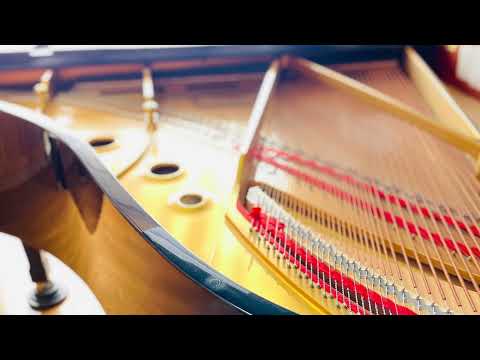 1人で合唱してみた「COSMOS」　アカペラ