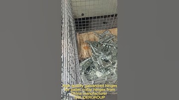 pallet collar hinges manufacturer