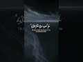 Powerful Quran Recitation to Calm Your Heart