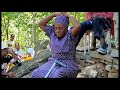 Chief Chiduku Baba Vonzi Varikurara NeVana Vavo Vasikana Vana Gogo Vajamuka PaDare Zvisingaite Chief Chiduku Baba Vonzi Varikurara NeVana Vavo Vasikana Vana Gogo Vajamuka PaDare Zvisingaite