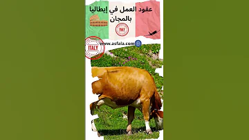 عقود العمل في ايطاليا بالمجان لمن يرغب في الهجرة الى ايطاليا الموقع في الوصف Italy 