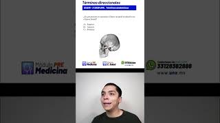 ¿Sabías que el hueso occipital protege la parte posterior del cerebro? 🧠✨