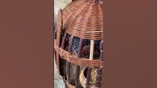 Chim đa đa mồi vè đánh nhau cực sung