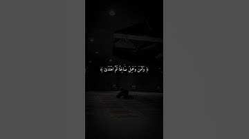 تلاوة هادئة ومريحة | قران كريم بصوت القارئ شريف مصطفى#استغفر الله العظيم