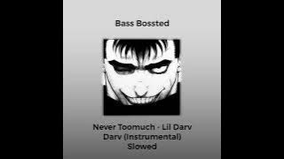 Never Toomuch - Lil Darv Darv (Instrumental) BASS BOOSTED 💀⚠️