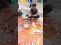Giant Wallago Attu Boal Fish Cutting Live In Fish Market || ARS Fish Cutting by arshad