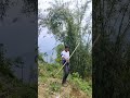 #lathi #love #tip #action #fb #exercise #explore #trick #mountains #insta #shoot #real #practice #a