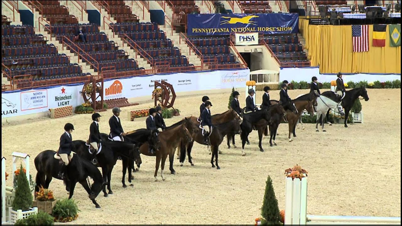 Class 3   Adult Amateur Hunter 18 35 Under Saddle