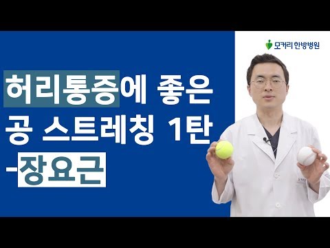 허리통증에 좋은 공 스트레칭 운동(1) - 장요근