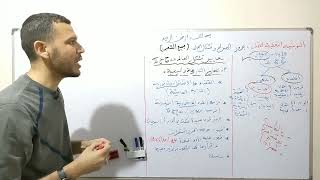 مراجعة شاملة للحرب الباردة بكالوريا 2024