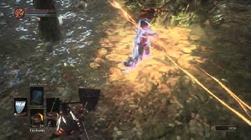 Dark Souls 3 Invaded by a hacker in RoS