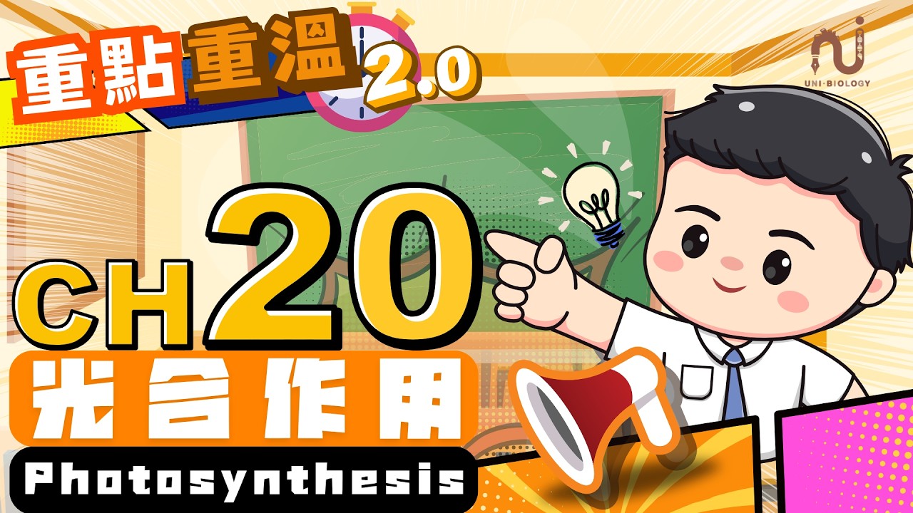 光合作用 DSE Biology:光反應、碳固定與限制因素 YouTube 影片縮圖